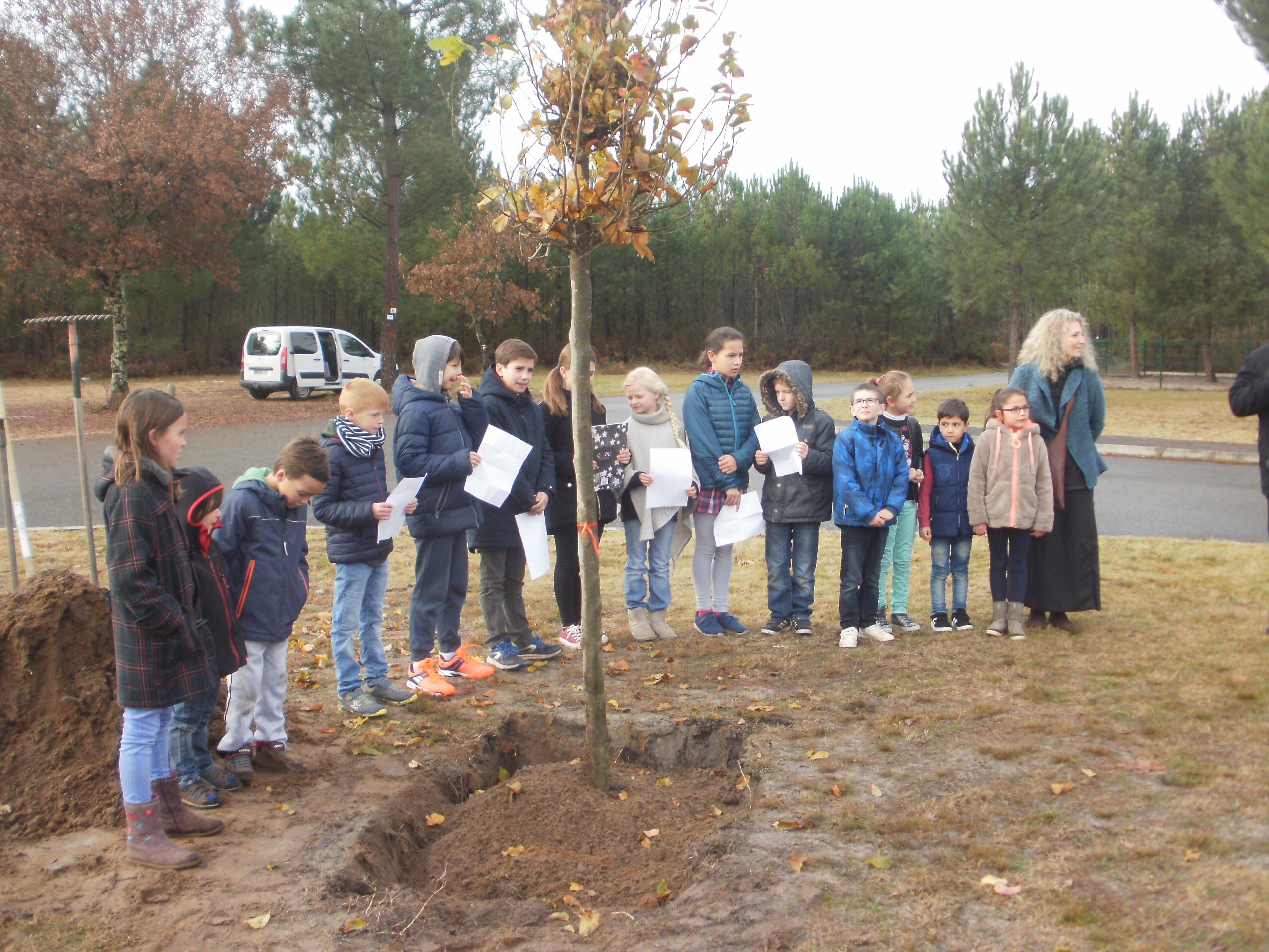 Enfants arbre pissos