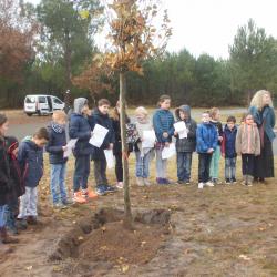 Enfants arbre pissos