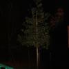 Img 0068 1